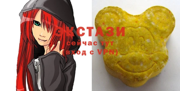 гашик Мегион