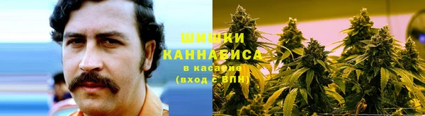 гашик Мегион