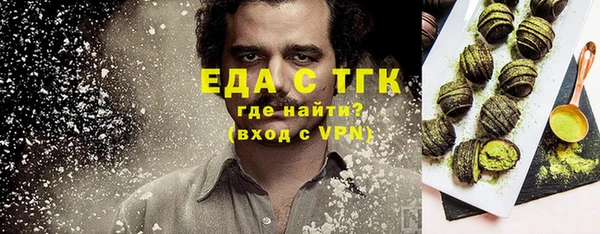 гашик Мегион
