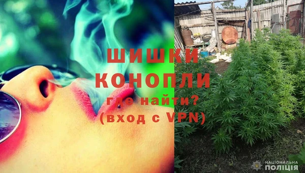 гашик Мегион