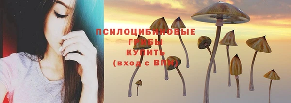 скорость mdpv Медвежьегорск