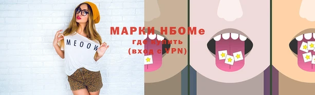 гашик Мегион