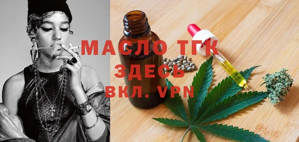 гашик Мегион