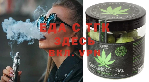 гашик Мегион