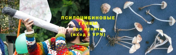 молекула духа Медногорск